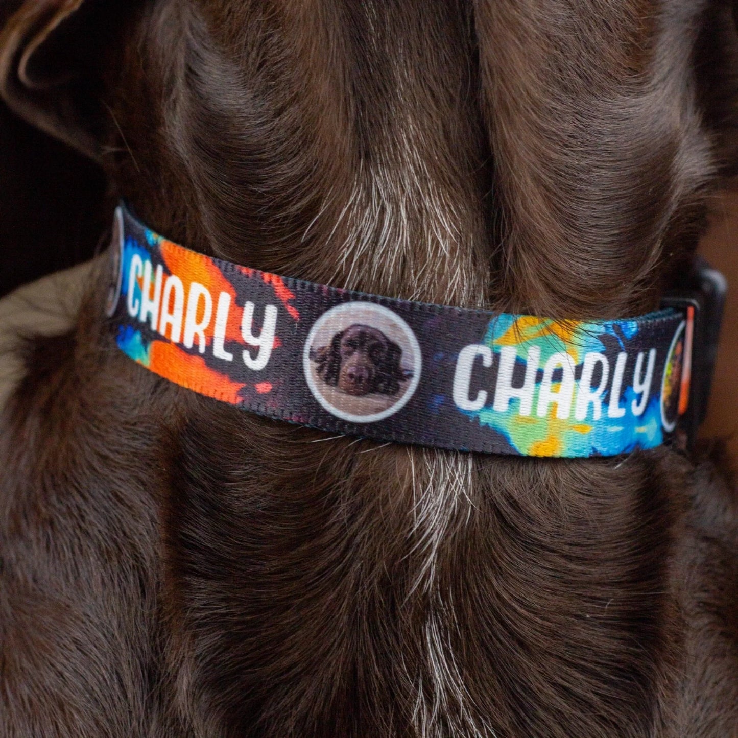 halsband-runde-bilder