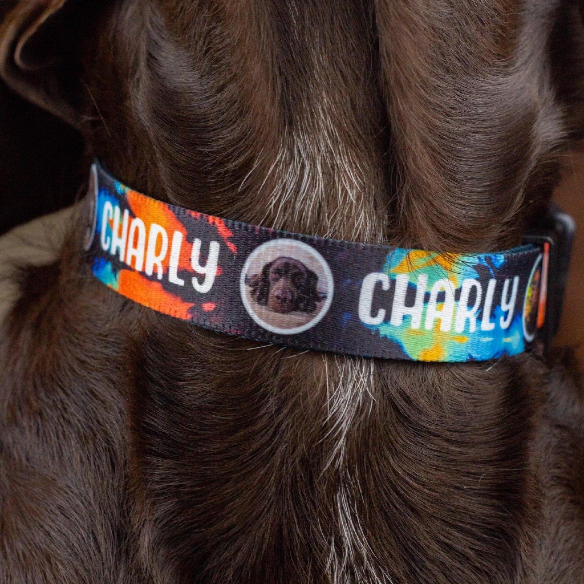 halsband-runde-bilder