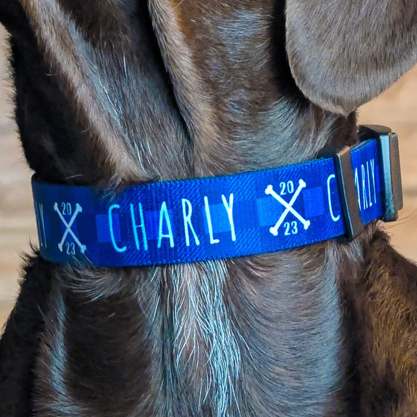 Halsband mit Knochen, Name und Geburtsjahr