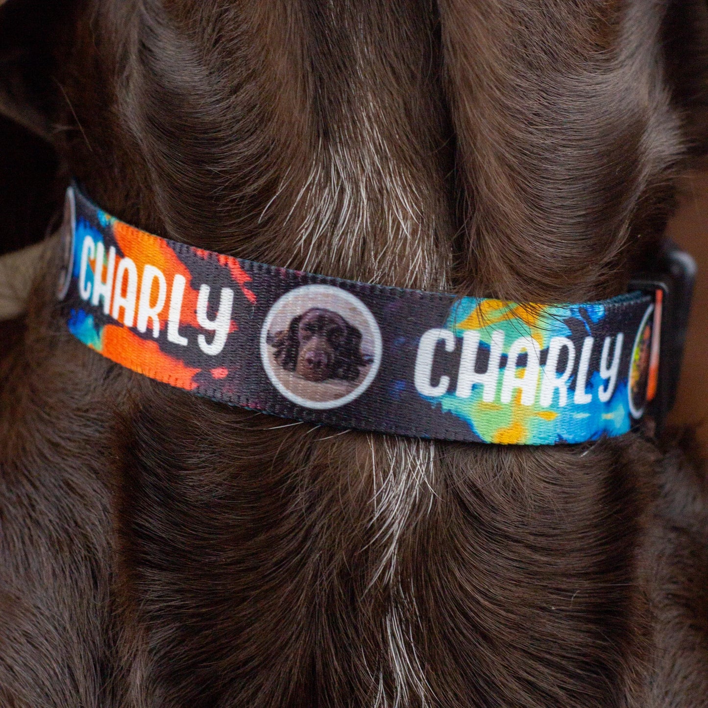 Individuelles Halsband mit Name und Kreisfotos